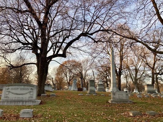Forest Home Cemetery & Arboretum by null