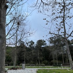 Randy Johnson Bluff Creek Fields and Playground