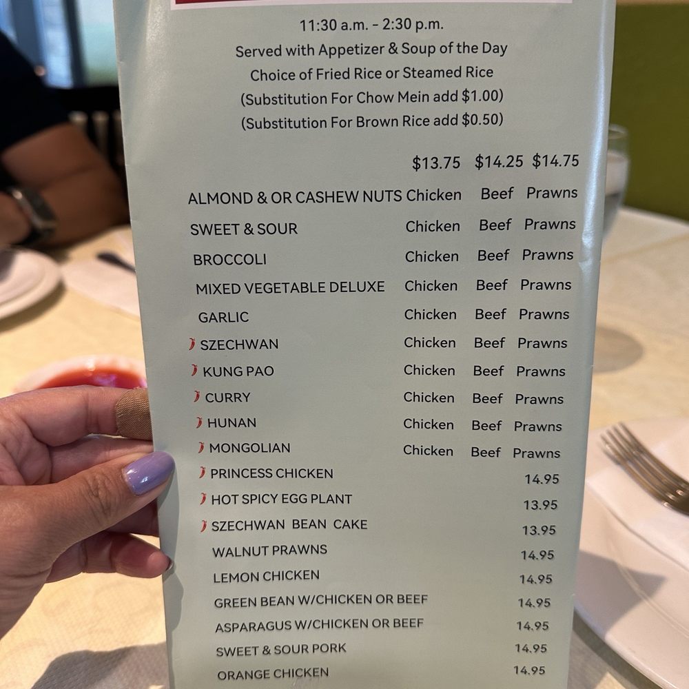 Mandarin Delight - Lunch specials - Chinese Near Me - Dublin, California