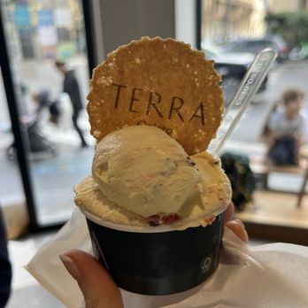 Terra Gelato - Zuppa Inglese - Ice Cream & Frozen Yogurt Near Me - Milan, Michigan Terra Gelato - Zuppa Inglese - Ice Cream & Frozen Yogurt Near Me - Milan, Michigan