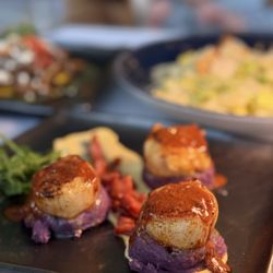 Scallops