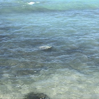 Anaehoomalu Bay - Beaches Near Me - Waikoloa, Hawaii Anaehoomalu Bay - Beaches Near Me - Waikoloa, Hawaii