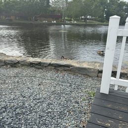 The pond at the Old Grist Mill Tavern. The pond at the Old Grist Mill Tavern.