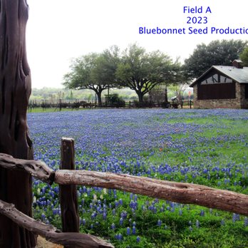 Wildseed Farms - Nurseries & Gardening Near Me - Fredericksburg, Texas