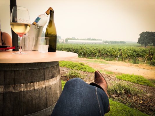 Bokisch Vineyards by null