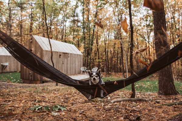 Gather Greene by null