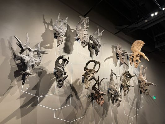 Natural History Museum of Utah by null