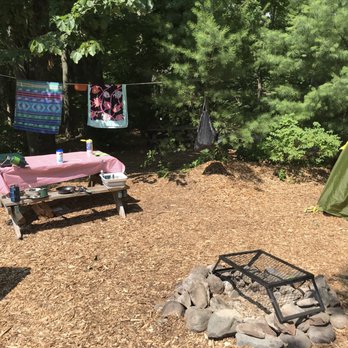 Phoenicia Black Bear Campground - Campgrounds Near Me - Phoenicia, New York Phoenicia Black Bear Campground - Campgrounds Near Me - Phoenicia, New York