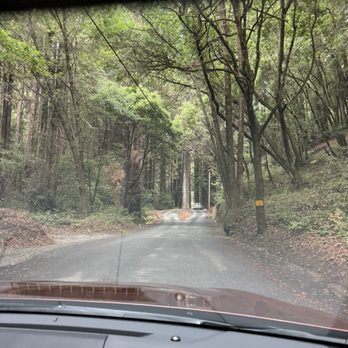 Mystery Spot - So scenic - Amusement Parks Near Me - Santa Cruz, California Mystery Spot - So scenic - Amusement Parks Near Me - Santa Cruz, California