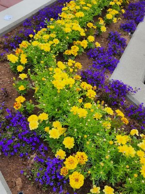 Golden Heart Plaza by null