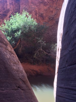 Moab Desert Adventures by null