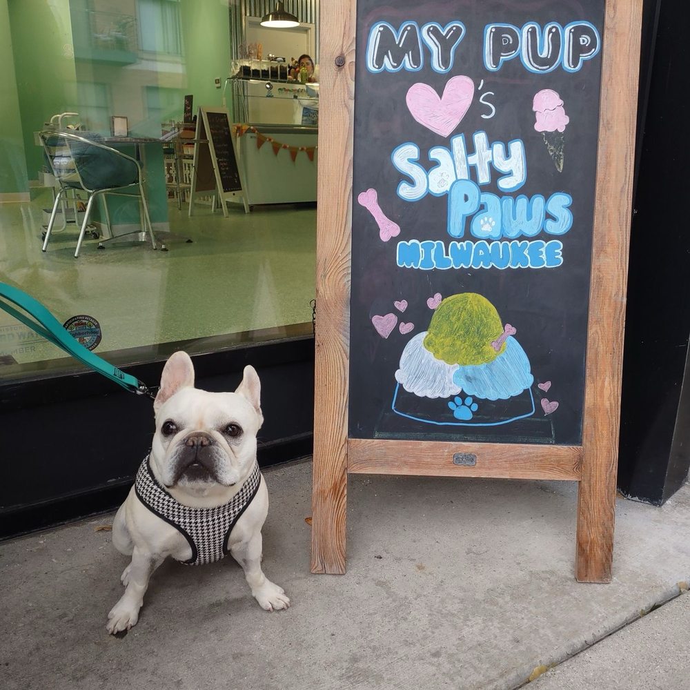 Salty Paws - Inviting front entry way - Pet Stores Near Me - Milwaukee, Wisconsin Salty Paws - Inviting front entry way - Pet Stores Near Me - Milwaukee, Wisconsin