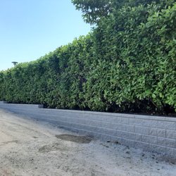 Terraform Construction - allan block wall