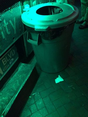 Little Bear Saloon by null