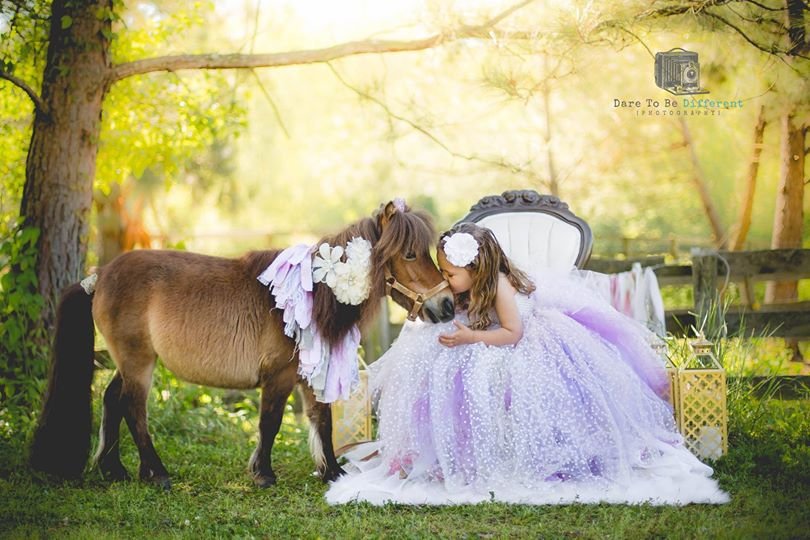 Raisin's Ranch Pony Parties - equestrian in Alpharetta, GA