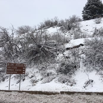Snowbird - On the road - Ski Resorts Near Me - Snowbird, Utah