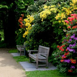 Bürgerpark