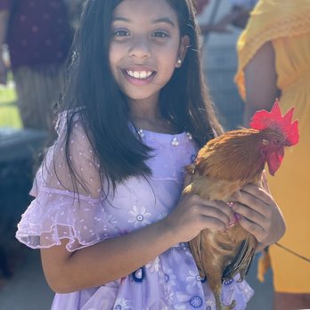 Reptacular Animals - Party & Event Planning Near Me - Sun Valley, California Reptacular Animals - Party & Event Planning Near Me - Sun Valley, California