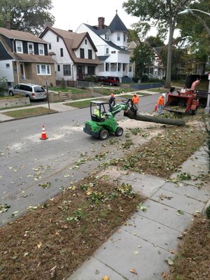 Darrin's Tree Service