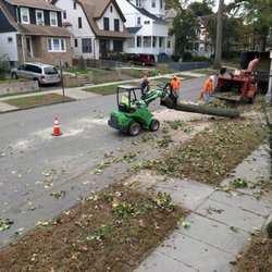 Darrin's Tree Service