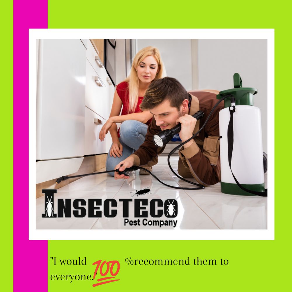 INSECTECO PEST COMPANY Updated October 2024 13420 Pulpwood Rd
