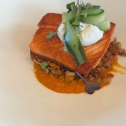 Salmon - The image shows a plated dish with a cooked salmon fillet placed on a bed of lentils and sauce. The salmon is garnished with thinly sliced cucumber, microgreens, and a dollop of cream or sauce. The presentation is on a white, round plate, with a blurred background indicating a dining setting.