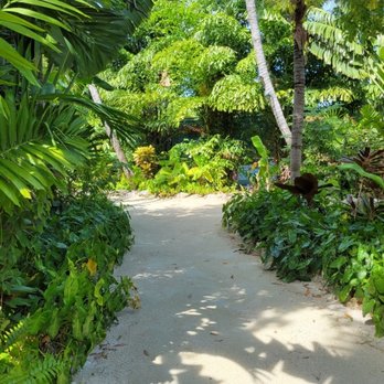 Cheeca Lodge & Spa - Resorts Near Me - Islamorada, Florida Cheeca Lodge & Spa - Resorts Near Me - Islamorada, Florida
