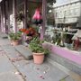 Dancing Tulip Floral Boutique