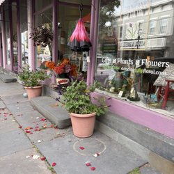 Dancing Tulip Floral Boutique - Dancing Tulip Exterior (love the rose petals scattered about)