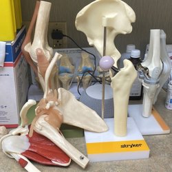 Garden State Orthopaedic Associates - Hip bone
