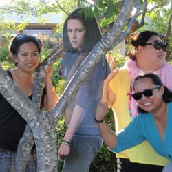 Twilight Tours By Team Forks