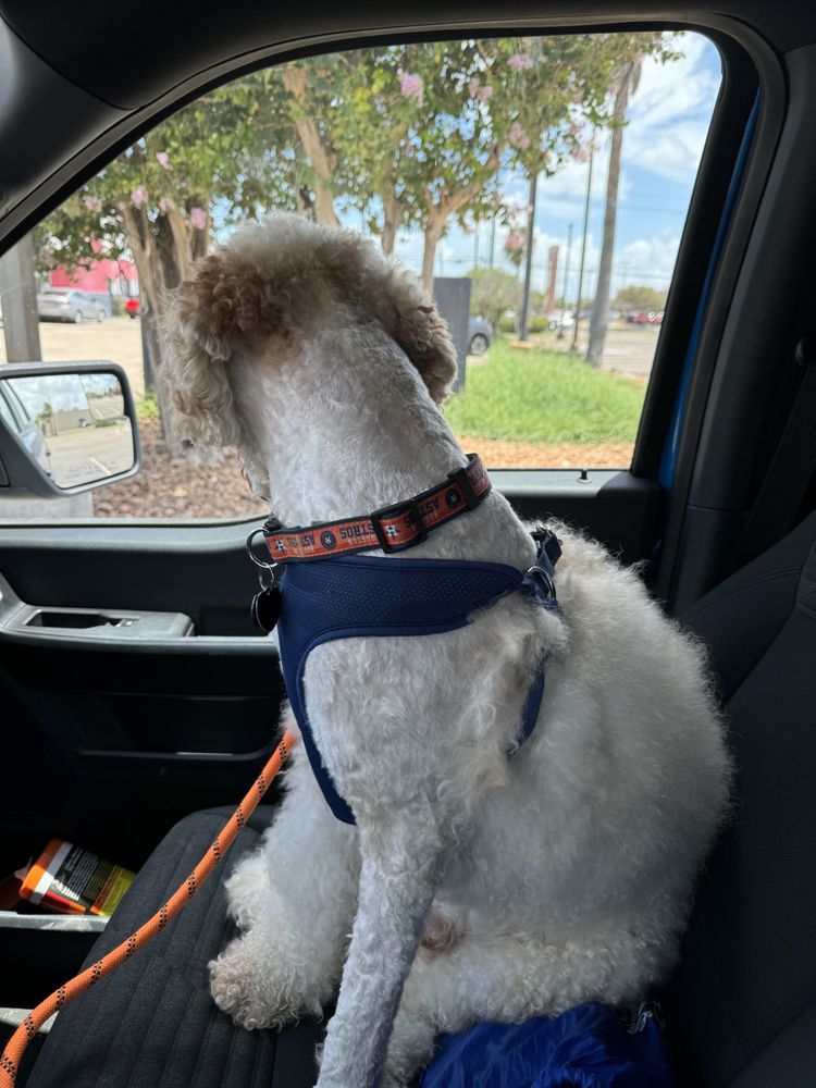 EARTHWISE PET Updated October 2024 12 Photos & 10 Reviews 5625 Saratoga Blvd, Corpus