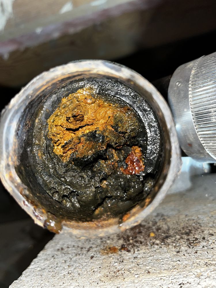 Slide of Arkansas Rooter