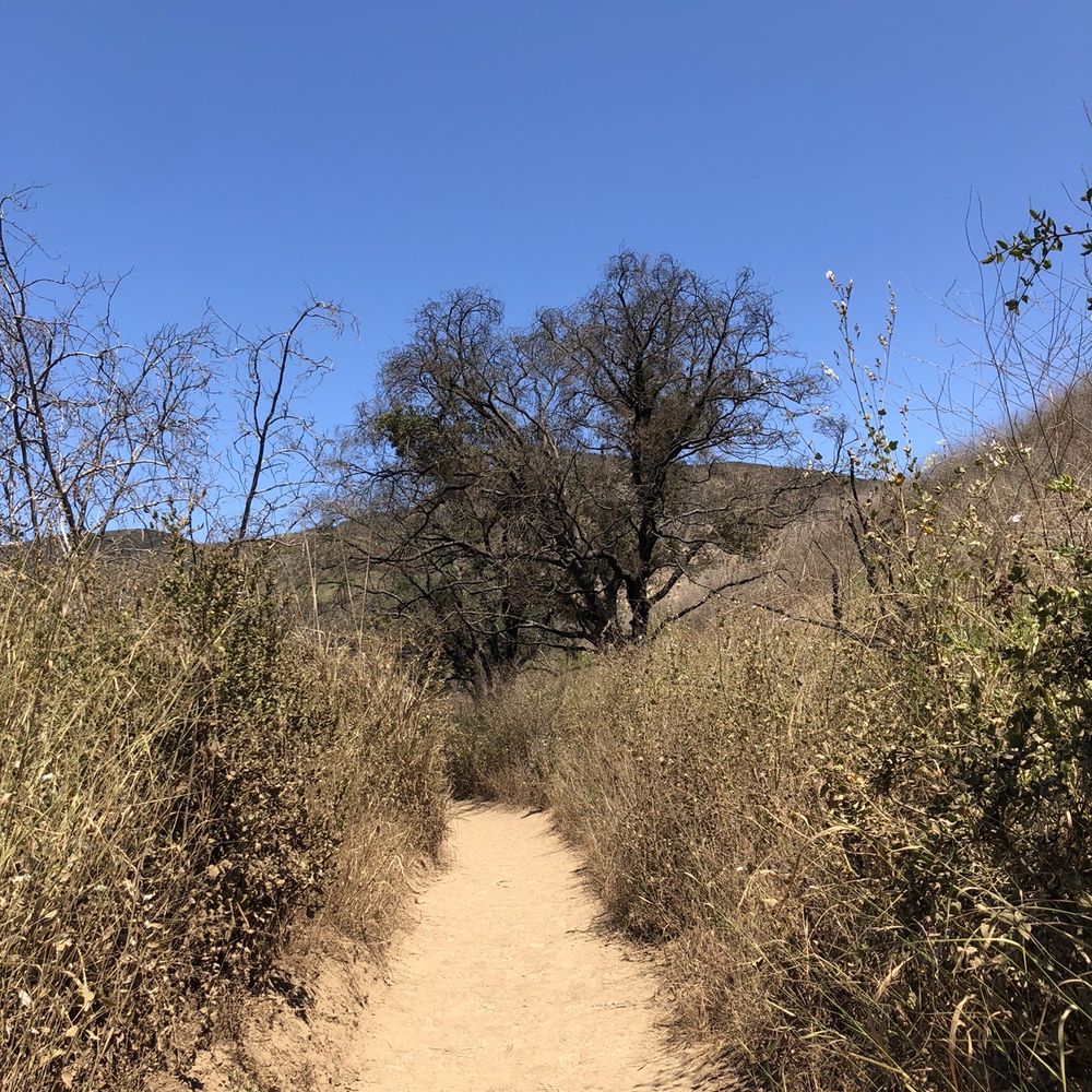 Escondido Canyon Park - Hiking Near Me - Malibu, California Escondido Canyon Park - Hiking Near Me - Malibu, California