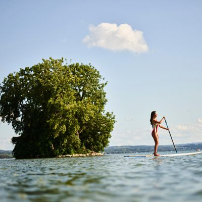 The Lake House on Canandaigua by null