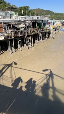 This Is Asia Tours by null