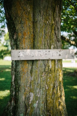 Alto Vineyards by null