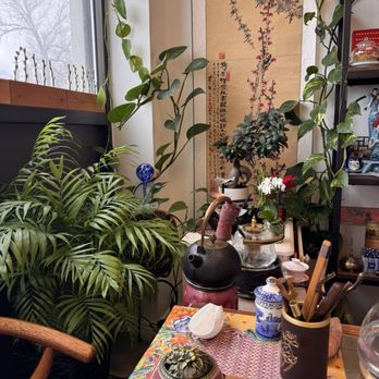 Grain Rain Tea - Lovely plants in the main room - Herbs & Spices Near Me - Provo, Utah