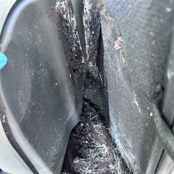 JP Auto Detailing - Jeep wrangler mold restoration 
Behind speaker in the trunk. Termite nest.
Pest removal - Auto Detailing Near Me