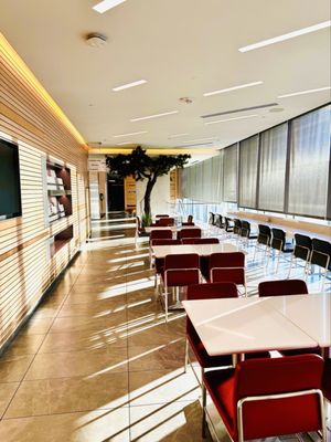 American Airlines Admirals Club by null