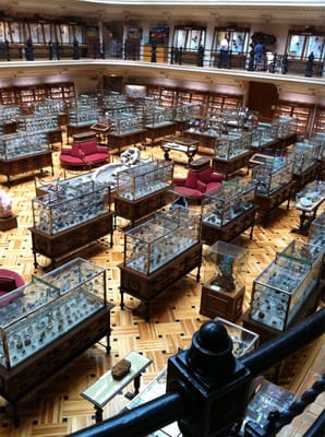 Museo Geominero by null