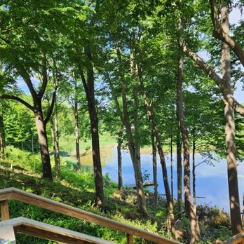 Trees Plus - Tree Services Near Me Trees Plus - Tree Services Near Me