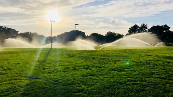 Dimension 2 Associates Logo