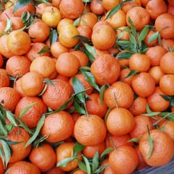 Boucherie Alimentation Grand Atlas