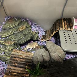 PetSmart Dog Training - OH HAI THERE NICE TO MEET YOU