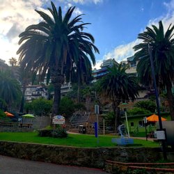 City Park