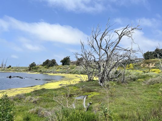 Wetlands & Wildlife Care Center by null