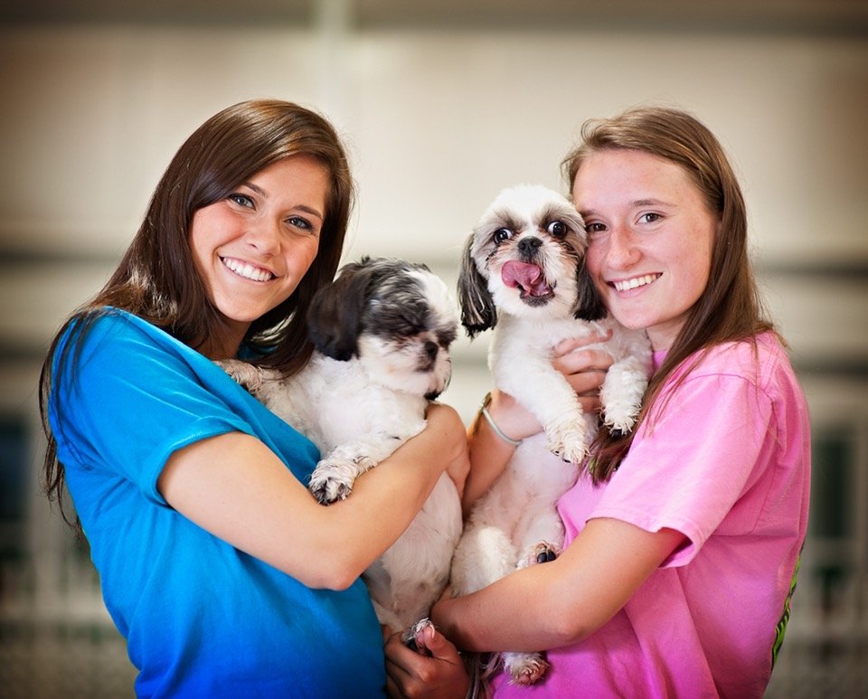 SAVY PAWS PET RESORT Updated October 2024 29 Photos & 11 Reviews