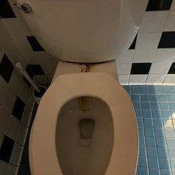 World Gym - Toilet in girls bathroom