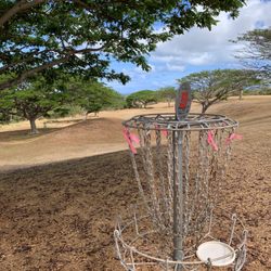 Kupuohi Disc Golf Course